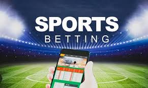 Explore Exciting Opportunities in Pepeta Bet