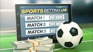 Exploring Idilenya Bet The Future of Online Betting Exploring Idilenya Bet The Future of Online Betting